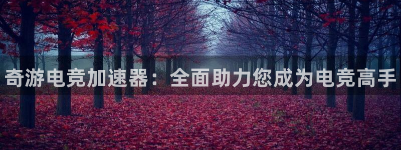 乐竞电竞暨ly79典cn：奇游电竞加速器