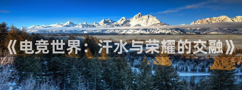 乐竞电竞下比赛的网址：《电竞世界：汗水与