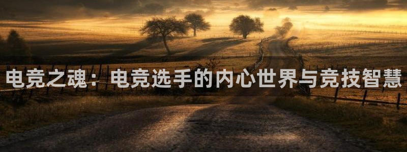 乐竞电竞竞猜注册网址：电竞之魂：电竞选手